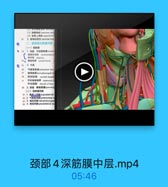 14

15
17
N W N I baconphayngnal fa
carotid sheath
I CARM sheath of thyre
(=) R8UR0
21 1. M L82 suprastemal
22 2. .1F M /t38 pretrachoal s
23 3 M0 retropharyngen
24 4. 0 provertebral ap

颈部4深筋膜中层.mp4
05:46