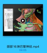 (1強樓动品]單支
南評育动味 darsal

。 (3)第3段:

5 25 1462 vagus nen
6. Kalt phrenc nen
7. if triangie
前料為M sealeeus
中斜角Mscalenus
后料角部ecalmua

颈部16淋巴管神经.mp4

04:05