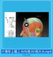 L1A 21

第三节
● 一、颅顶
●(一)额顶枕区
● 1.境界
2.层次
(1)皮肤:
(2)浅筋膜:

1)前组:
42 滑车上动脉

sứ

滑车上静脉

SU

滑车上神经

su

43 眶上动脉

H

supn

t1滑车上眶上AVN枕AV枕大N.mp4

06:06