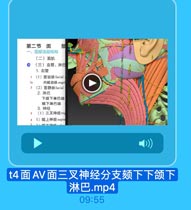 第二节 面

部
一、面部浅层结构
(二)面肌

0
(三)血管、淋巴
1.血管
(1)面动脉facial

1a

内眦动脉 angu
2 (2)面静脉facial
2. 淋巴
下颌下淋巴结
颜下淋巴结
3. 神经

3

(1)三叉神经tria
1 1)眶上神经supre

5

t4面AV面三叉神经分支颏下下颌下
淋巴.mp4

09:55