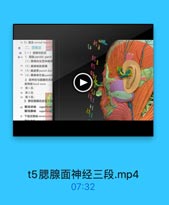 1 5)颈支cervical branch
0 二、面便区

「A

a

◎(一)课腺咬肌区
0 u 1. B19 parotid gland

85

(1)露線的位置和批餐
14 (2)聽牌校肌筋膜
15 (3)螺醇管parotid duet
14 (4)腿線淋巴结parotid
2.面神经与脚腺的关
面神经 facial nerve
17 第1段:
博第2段

EEL

19 第3段:
3.穿经翠腺的血馨和械
20 颜浅动脉 superficial
顯浅静脉
superilcial
# 下级后静品 retromansdil

t5腮腺面神经三段.mp4

07:32