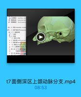 D上額静味 maxillary vein
◎ 面模动脉 transverse faci
P 面横静脉 facial transver

On 4. i masseter muscle
Q14 5.順下領关节temporor
●(二)面侧深区
· 1. 填界

【2.内容

(1)異内、外肌
as 1) A r9M medial poerygoid
16 2)翼外机Interal pfetyevrid
27 (2) 剪丛 pterygulil pllesits
1(3)上镇动詠 macillary.
29 第1段1下牙槽动誌m-
30

2謝膜中动味mld
1 第2段 類动詠 huceal artn

t7面侧深区上颌动脉分支.mp4

08:53