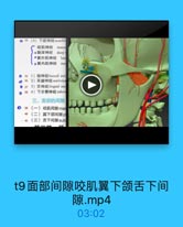 ◎ 34(4)下領神经mandil
咬肌神经
masse
·颞深神经
deep
·翼外肌神经 latc
·翼内肌神经
me

◎ 35 1)频神经buccal ner
◎ 36 2)耳题神经auriculo
D 37 3)舌神经lingual ner
0 38 4)下牙槽神经 inferi
三、面部的间隙
◎ 39(一)咬肌间隙mas
40 (二)翼下颌间隙p
-41(三)舌下间隙sub

t9面部间隙咬肌翼下颌舌下间
隙.mp4
03:02