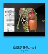 (二)食管裂孔
●4 食管梨孔eophageal hine
04 主动脉製孔wotic hineas
三、基的血管,淋日

100

(一)血管
:氧上动味upcriin glne
MT4hN inferior phi
s0 JA FMM inferior pl
(二)淋巴引流
丽上淋巴结 superiar phr
社 請下淋己hinferior phr
(三)神经
時 關神经 phrrie nerve(C)
副購神经 scceasory phr
第四节 胸膜和
狗膜pieura
ss NE bi IR visceral pleura
5s 壁胸膜parletell pleurs
co M Et cootal plesma

13膈动静脉.mp4

03:17