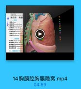 副腸神怪accessory ph
第四节 胸膜
一、胸膜
胸膜 pleura

ss AE BN HA visceral pleura

壁陶膜 parietal pleurs
助胸膜 costal pleura
$7 關胸膜 diaphregmatie plr

48

纵隔胸講 medinstinal pla

40

ME E cupula of pleurs

50

時辑带 pulmonary litam

52

二、胸膜腔

53

8 E pleural cavity
胸膜隐窝 pleural reetsiy
助關隐窝 costodiaphragm
助纵隔隐窝 costomediasti
開線隔隐窝 phrenicoe
三、胸膜反折线的

14胸膜腔胸膜隐窝.mp4

04:59