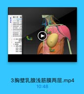 第二节 詢
一、請层結码
(一)皮肤(二
购库内动味 imll
4[陶書肉动脉]穿支
1 数间后物味 BO9
4[助间店动縣]乳
lateral mamminy 1-
厨廚峰动豚 thon
魔外侧动脉 laten
$ [萬於侧动鮮]乳房外碼
(2)静脉:詢厦量

1

脂外個
2. 皮榨径
(1)销骨上神经
頭骨上内侧卡
總骨上中间
锁骨上外劑

3胸壁乳腺浅筋膜两层.mp4

10:48