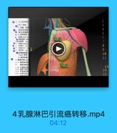 N: (2)助间神经

2

(=) #

3

1.位置 乳南
e止 乳房后间層

4

● 與大肌筋購
·2 形本结构

5
6

電推貼線 SUPC

7

# 乳除叶 libec

8

●# 乳藤小叶 lo

9

:●乳房品韧帶:
Cooper

10

3.淋巴引流

11

址 臺淋巴話(axill
#9 1.海机淋巴临
第 與肌间鼻巴
力2.外侧淋巴绩

13

23 3.南界下淋巴
扫4.中央淋巴绩

14

24 5.尖淋巴结[

15

4乳腺淋巴引流癌转移.mp4

04:12