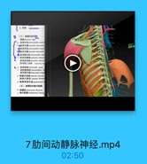 2.深屋

D

(三)與您和胎间線
胸專thanacic cage
3 聯间外机 imercontales ester
●世间外購 estemal iniercoatal
象助间內M intercoetales imerm
◎助间內膜intemal inercamtal
免 出网量内机 inteeswales intin
en 防间后静 posteriar intenoo
助间后动除posterlor isterco
防年最上动脉 supreme iml
4 出间神经 lntercostal nerve
13 款网臂神轻inalercoatobn cl
點网淋巴 inteeosstal lyope
1 胸塵内动M interall thoracic
郭席内静业 inemal thoeael
排 與骨旁淋巴M parasterrall by

4 编樓肌 tranenus tharacis
41 胸内眼膜 endethoencle facis

7肋间动静脉神经.mp4

02:50
