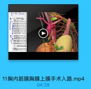 2. 深层

(三)海定和助间章
国thanacie cap
= 助间外部 imeroetalm ester
3.l间外膜esteral ittercow
參助间内E interooetales inior
◎助间內膜 imemal interroeta
免 點時華内M intercostales lat
華甜间品静味 posterior interc
· 助间后地話 posterior interco
●世树最上动脉 sugreme if
A#型间神经 interoatal nerve
●Ⅱ 點间臂神经 alercostobn
◎ 計異琳巴t intercostal lyei
Su 專内动M internal thoeael
胸專内静址 interal dhora
1s 與骨旁為日格 paraermal
(五)海横肌和胸内膜
44 陶横 trnienus thararis
41 胸内能膜 endathoracie faarir

11胸内筋膜胸膜上膜手术入路.mp4

04:28