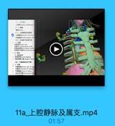 二、上报幕
(一)興
NM :hyma
(二)上控静味及其萬支
上粒静 sperier ver care
S. 9f 09 5k beacldiocephalie rein
(三)主动基号及其分支
主动味号 aonie anb
1t T brachiocephalie trank
左術总动址led coarn cantil
左镇骨下动MInlt sabelasian an
3.动脉松博
: 动脉转带 arterial ligament
* 动錄导管三角iriaegin of dacta
(四)气管陶部和支气糖
· 1.位置
* *fthoaie put uf trach
#if Et bifcation of trache
11eariss of trachra
左主支气管lelt principal brons

11a_上腔静脉及属支.mp4

01:57