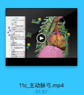 二、上级福
上级lspeis wediastisoms
(一)肉牌
(二)上腔静縣及其属支
上腔静品 =tperier vera cana
头臂静味 leaeaioorphalie veia
(兰)主动旅号及其分支
主动脉号amric atch
头臂干hraebieeephalie trenk
左事总动味leh coeme carotid
左使骨下动Mleh mhelavias art
a 2. 點箱
3.动脉椰带
动綠糖帝 arterial liganen
4 动謝导管三角trimgle of doct
(四)气管陶部和支气管
$ 1.位置
气管部 theacic part of trach
*if El bifturation of traches
气管魔峰 rarina.of trachoa
· 左主支气管leht principal br

11c_主动脉弓.mp4

01:57