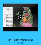 二、上级福
上级lspeis wediastisoms
(一)肉牌
(二)上腔静縣及其属支
上腔静品 =tperier vera cana
头臂静味 leaeaioorphalie veia
(兰)主动旅号及其分支
主动脉号amric atch
头臂干hraebieeephalie trenk
左事总动味leh coeme carotid
左使骨下动Mleh mhelavias art
a 2. 點箱
3.动脉椰带
动綠糖帝 arterial liganen
4 动謝导管三角trimgle of doct
(四)气管陶部和支气管
$ 1.位置
气管部 theacic part of trach
*if El bifturation of traches
气管魔峰 rarina.of trachoa
· 左主支气管leht principal br

11c_主动脉弓.mp4

01:57