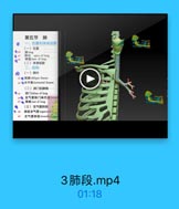 第五节 肺
一、位置和体表投影
(一)位置
肺尖 apex of lung
肺底 huse of lung
(二)体表投影
二、结构

O

(一)肺叶
6● 料装 cblique fissure
6 ●水平製 horiaontal fiasure
(二)肺门和肺根
肺门hilum of lung
60@ 支气管肺门淋巴结harmel
67● 肺根 root of lung
《三)支气管肺段
● 品 肺段支气管segmental Lc
支气管詩段 bronchotodlit

3肺段.mp4

01:18