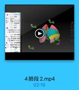 一、位置和体
(一)位置
Mla
肺尖 apex of hu
肺麻 hase of hung
(二)体表投影

69

二、结构

LR

2ByS

(一)肺叶

P

63●科装oblique fissur

L4 R

64 ●水平裂horinoetal f

GR

(二)肺门和肺性
●品 特门hilum of lun

37 R

u◎ 支气管肺门淋巴
67 e 時根 root of lung

19R

(三)支气管肺程

410 :1

●福 蒜段支气管wegme
支气管防段 hronc

4肺段2.mp4

02:16
