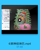 韩設支气管:gm
支气管肺段hron
三、亚管
(一)肺动腿
肺动酵 pulmonar
(二)肺静脉
肺静味pulmonar
我内静味
1 段间静味
●(三)支气管动

+

n ◎支气管动酥brun
四。淋巴引流
五、神经
74 肺丛 pulmonan

6肺神经淋巴.mp4

01:48