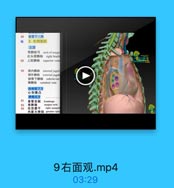 88

食管下三角
3. 右侧面观
上方
奇静脉弓 arch of azygo
右头臂静脉 right brach

89

上腔静脉 superior vena

90

颈内静脉 interal jugul
頭外静脉 external jugul
销骨下静脉 subclavian
椎静脉 vertebral vein
胖根前下方
心包隆凸
肺根后方

91

食管全程
Esophago

92

奇静脉

azygos vein

03

右交感干

right sympat
内脏大神经 greater spla

9右面观.mp4

03:29