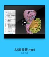 56 03.N主动 国主动脉hh
C 以隔前淋巴销 anterice

37

2级隔后淋巴结 poslerins
D 4.奇静脉、半衛静酥和團
58
◎奇静l arygoe vein
59
(o 半奇静脉hemiarygos
60
副半奇静脉accessor
5. 陶导管

71

”陶导管thoracic duet

72
く 乳廉油 cisterna chyli

73

6.詢交感干thoracic sym

74

白交通支white commu

75

灰交通支 grey commin
胸神经节 thoracic gan

76

内脏大神经 greater sp

77

内胜小神经 leser spl
内脏最小神经 least ss
四、纵两间際

22胸导管.mp4

02:02