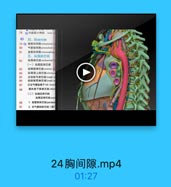78

◎内脏最小神经 least ih
四、纵開用限
79 ◎ 胸骨后代障 retroutemal
80

气管前间限pertracheal
食管后间限retroesophaun
五、纵隔淋巴结

87

纵隔淋巴结 mediastinal
(一)纵隔前淋巴结

H2

纵隔前淋巴l anterior

84

纵隔前上第巴绩 anteroau

85

主动脉可淋巴结lymph a

86

动綠糖带淋巴储lymgh no

87

左支气管服陽干lcft brote
頭外側下課謝巴结 inferi
(二)纵隔后淋巴结
銀隔后淋巴线poste

90

1.食管旁淋巴站 paraesa

91

2. 支气管肺淋巴结(肺门

24胸间隙.mp4
01:27