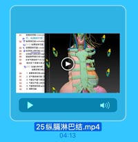 計1

食管后间版re:roesoph
五、纵隔淋巴结
82 P 纵隔淋已結 mediastina
◎(一)纸開前淋巴结
83 卷 纵隔前淋巴结snlerior
84
Q纵陽前上淋巴结mter

85

主动詠弓陈巴线lymph
动詠韧蒂淋巴llyaph

87

左支气管纵图干helt bee
頭外侧下保淋巴站inl
0(二)纵务后淋巴结
級陽雇淋巴結 p

90

1.食管旁淋巴结para

91

2. 支气管肺淋巴结【

92

3.气管支气管下淋巳
4. 气管支气管上淋巴

94

5. 气管旁淋巴结 pera

95

6.肺淋巴結

25纵膈淋巴结.mp4

04:13