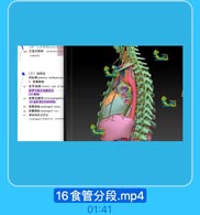 又部“心新补F[menor can
北 左宝后的# posletior veill
ventricle

[三)后纵图
to A posterioc mediastium
1. 合曾胸车
食管窗話 thoracoc part od esd
食管与测主功味交文
4 食管后隐窝 ntneephagul n
(2)直管,淋已引改和神丝
合曾动M ewrpeapual artery.
$ 合管静B raphageal wein
歌返神经公管业
esaphgeal beanch of tocuren

16食管分段.mp4

01:41