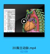 56 3 胸主动脉 主动酥山
纵隔前淋巴l anterior #
纵隔后淋巴结 posterion
4.奇静脉、半奇静脉和副

UiHUNO JEicom

5H

奇静計 aaygps vein

59

半奇静脉 bemiazygos

60

副半奇静脉 accesson
5.陶导管

71

陶导管thoracie duet

72

乳腐池 eisterna chyli

73
6.胸交感干thoracie sym
74

白交通支white comm

75

灰交通支grey commuf
胸神经节 thoracie gan

76

内脏大神经 grater

77

内脏小神经 leser spll
内脏最小神經 least
四,纵漫间题

20胸主动脉.mp4

02:09