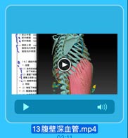 1 脐正中驟
me
脐外侧裝
late
3e 膀胱上窝
su
腹股沟内側窝
腹股沟外侧窝

(七)腹前外便
1.血世
3价(1)助间后动段
助下动脉6
(2)腹整下动时
壁上动脉8u
w (3)旋露深动
2. 神经
:(2)M腹下神经
41(3)髂腹股沟排

13腹壁深血管.mp4

09.11