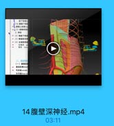 (2) 酸壁下动B
一、腹壁上动誌叫

●(3)旋膳深动品
2.神经
4(2)露腹下神经
41 (3)酷腹股沟神
42 (4)生殖股神经:
生麵支 g

企天3

股支 femn

FAN

二、局部结
(一)腹直訊村

45
腹直肌新sheat
46
号状线 arcuate
半月线linea 10

14腹壁深神经.mp4

03:11
