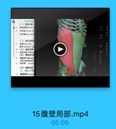 二、局部结构
(一)復直肌網
腹直肌精 sheath o

44材料

号状线 arcuate lin
半月线linea semill
(二)腹白线和图
肤环 umbilical rin
(三)腹股沟管
49 规环或皮下环:R
(四)腹設沟三

=11X111

G4991

4 自线linen albs,

24

56 腹股沟三角inguil
又称 Hesselbach

51

股环隔 femoral
(五)腹設沟位
三、翠丸下降

52
腹讀輔臭vaginal

15腹壁局部.mp4

05:05