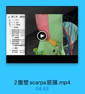 第二节 腹前
一、层次
(一)皮肤
(二)浅筋膜
1.浅动詠
腹壁浅动脉superfici
12 旋體浅动脉 supetfici
は 腹壁上动誌
superio
直壁下动脉
inferior
2. 浅静脉
14
胸腹壁静脉 thoracog
15 旋籍浅静酥 superfi
14 產壁浅静酥 superfi
3.護前外侧壁的注
4. 神经
肋间神经
imtercostr
助下神经
subcostal

2腹壁scarpa筋膜.mp4

04:53