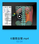 · 第二节 腹前
一、层次
(一)皮訣
(二)浅筋膜
1. 浅动脉
1 直壁浅动M saperfic
12 旋體浅助脉 superficil
1 腹壁上动味
superic
腹壁下动脉
inferior
ronus UY

2.浅静脉
4 胸龍壁静脉 thoracog
15 旋露汽静脉 superfi
腹號浅静脉 superfi
3.腹前外侧壁的法
4.神经
17 助间排经 intercos
助下神经
subcostal

6腹壁血管.mp4

02:24