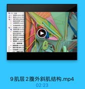 ●(三)肌层
售1 值直Brectus abd:
關划 tendinous intnr
腹外斜Aobliquus
21

龍股沟频带 inguina
腔障韧带Iacunar 1
23
耻骨梳暢带 pectinr
● 24 内侧脚 medial crus
● 御间纤維 intererun
25
反转韧带reflectedl
度股沟管浅环 Su
提内料肌obliquus
2 推欄肌 transversu
1 腹股內線 inguinal
2 提率机 cremaster m
(四)腹横筋膜
30 旗横結膜 transverse
31 血股沟管课环peodi
#2 凹间韧带 interfoveol
(五)腹讀外组识

9肌层2腹外斜肌结构.mp4

02:23