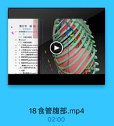 第三节 结肠
食管鹽部 al-Jominal jart af
(一)位置与电輕
W sternaek
(二)网膜与秘带
1. *kl greater omenti
青结肠替帶 gurocolie1
2 )l lesser omentur
肝十二指肠韧醬hepal
3. gastrosplen
4. EA0 gastropancr
5. WAD@ gastrophrer
E bare soee of sien
(三)血管与淋巴引流
1.动味
(1)胃友物話lf gte

18食管腹部.mp4

02:00