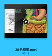 vwYxxx333

三、十二指解

十二指肠 daelema
(一)分部及起包

CONG Y13.com
1. Ll superior par
3. 水平郵horirontal
4.升包ascendng B
二指肠空肠曲 zadang
十二種絲上號+pm
(二)十二醫紙最肌
十二種務最倾件
(五)立管
1横十二瓶陆上前,
anteriar and posterior
2請十二程研下叶刷
胃十二服味动科
2.熱日
萬十二指感养味
請十二指縣上系幹味
fhor pincrea toidunser

38悬韧带.mp4

03:18