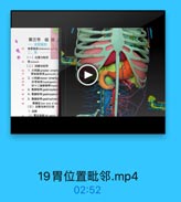 第三节 结肠
食管版部 bdominal pert vf
(一)位置与毗部
胃somach
(二)网膜与韧带
1. *jll greater omant
胃结師辑带 gutecolic
sa 2. ch ll lesser omentur
HF F M i hepatogastrie
肝十二指師靜带 hepale
3. J040N gastrosplen
4. WEk0# gastropanc
5. k09 gastrophren
1E bare aeea of st
(三)血管与淋巴引流
1.动縣
(1)置力动llef raatrie

19胃位置毗邻.mp4

02:52