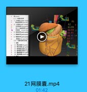 W stomach
(二)网膜与韧带

14

1. *l greater omen

81

ST

胃结藤韧带gatmcolie
2. l 5 lesser omenti

62

肝十二指肠制帶hepat:

63 83

Fllit omental burs

64 84 11

3. MW# gastrosplen

65 85

4. WENKO# gastropanci
5. WW W# gastrophrer

66 86 14

WiE bare area of sio

67.87

(三)血管与淋巴引流

68

1.动味
(1)胃左动誌lelt gustrie
(2)胃右动線right gastric
(3)胃网膜右助誌right s
(4)胃网膜左动詩left g=
(5) WAE 5h8 short gaatrit

72

(6)胃后动脉 pusterior ga

73

WWWW

21网膜囊.mp4

01:42