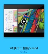 三。十二指筋
十二州址 daoleim
[一)分部及此然
1. L:88 superior part

2. NFR5 descending part

3. TMhortzontal part
4. 7M ascending part
二無縣空話色 adenogual f-u
十二指藤上税upai diaoal.iail
●(二)十二指场泰机
(三)血营
十二指肠悬赖市Hpmwy!
1.动味
1頭十二龍固上前,后动莓
asterior and posterior sapeiar pancia
● (請十二指醫下時址 ifi ti
: 司十二指務动酥 gmlielol
2.0味
精十二有品静址 peaupifcndoo
donal vein
請十二指縣上前靜鮮

41胰十二指肠V.mp4

01:52