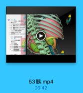 (一)位置,分都与世奶
Mpancreas
# 1. E4 head of pancreat
1 2. 14i neck of pancreas
N 3 B# body of pancreas
34 4. HNE tal of pancroas
(二)請管与副務管
1 E f pancrnatic duet
E f ccessory pancsentin d
(三)血管及淋巴引流
七、牌
(一)检置与配销
(二)新带
第(2)牌時材带limormaal hiran
第(3)區牌轉帶 phreriniaplente
(4)請结肠畅#liriocoin 1ig

53胰.mp4

06:42