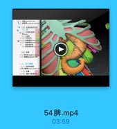 31 ER f pancrestie duet
La 劃族管 aecery pancra
9(三)血管及淋巴引流
◎(一)拉置与粘報
I aplem
[二)帮用
17(1)胃牌封市
39 (3)馬牌材带 phresticespin
40
調越肠餐帝

(三)直管
1. B&t8k splenic artery
2. 1Dl splenic vein

-八、肝门静味
(一)组成和类型
(二)位置
#(三)属支与收集用围

54脾.mp4
03:59