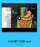 中一下期期
請十二根縣上品靜量

YU CONG 113.com

請十二街驗下后静排

WYxx733
YU Cowes7 3.cam

(一)位置,即部与体
(二)和帶与開下间惠
1.肝的物带
◎()状材物Aalcifm
● 肝四韧帶 ligame
((2)形状郁等-0(
●(3)右三角物带righil
●(4)左三角带lehs
● 2. 編下R單 subphro
(I}右肝上障rigbt
(2)左肝上间围1afpp
左肝上后间麵poin
(3)右肝下间單 rigat a

YU CORU

左肝下间障 lct
4)左肝下重网潮=
(5)左胖下經网限poatf

45肝膈下间隙.mp4

01:12
