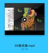 第四节 结题
空肠和回线
(一)位置与形市结而
◎件(二)施系膜-m

n 左.右除系請舞
left and right man

66

[番》南能,第告5流及
無系進上动社=periar

# 2 D

周电位置可生
三、精研
(一)分鲜,拉置及老电
1.升使話ascerdin

59肠系膜.mp4

02:10