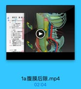 第五节 腹膜F

(一)检置与财轉
1.位置 骨kihry
10 1 8h veebrocotal argle
(三)青门,青离和商带
1. Mlrenal hium
2. Mi renal sinus
3. l M renal pedicle
(四)育血管与胃級
1.舞动熱和資段
Es t sk uppei polar arter
s 2. W19 lkronal von

%5{二)被膜

1a腹膜后隙.mp4

02:04