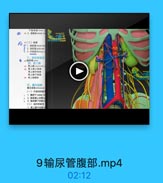 * 2. 國钟號renal ves
粉(二)被膜
1.青貼膜ronal fan
2.期防製adposa
3.纤维制frous
东,轴尿管理部
# 국上M mpraresali
箱 青上膽上动縣
管上辣中动陆
量上肆下动華
9 開上母静味
五、康主动脉
(一)不库对的味
1 1.国腔干celac 5
1 2.無基膜上动應5
1 3.延系膜下动脉行
(二)成对的脏支
1.青上牌中动味m

9输尿管腹部.mp4

02:12