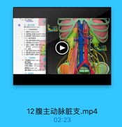 零 第上線静師
五、膜主动味
(一》不成对的脏素
1 1ll2T cetac trunk
1 2. MKM Libll superior meser
3 3 16M Fatll iferior mesent
(二)或对的脏支
1.青上操中动脉middig suprang
2. Witlkrenal artery
4 3 車丸(卵菌)动址1esfc.ler
集九品 testiealar pleaat
1 1. M Fil iferior phrorpe arr
13 2. ala kribar artary
1 3 鲜正中动脉 mredan sa2元2l
六、下腔静脉
薯下時線
/08 right testlesfur yelt
左果丸静啡 lcfl sesticailne vin
黑時味 lambar vein
黑升静h ancenling handier stit

12腹主动脉脏支.mp4

02:23