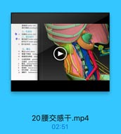 陳静# luhar vein
墨升静# mcending hu
七、乳腐池
◎ 乳南 ciatena chyli
八,美交感干
◎ 14 腰交感干lamhar sy=y
腰神经节 lunlar gang
$ 骤内融神经 lumbar
九、康丛

wol

1 腰品 lumlar plecas
19 籍堕下神经 Sliohy
糖寵程沟神经 ilioin

YU UO

生铺殼神经 genitofd
生殖支 genital branc
2 femoral branch
股外侧皮神经 latera
服神径 femoral nerve
闭孔神经 obearatof i
譯概干 lambosacral

20腰交感干.mp4

02:51