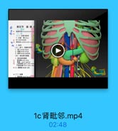 第五节 腹膜F

(一)位置与離韓
1.位置 肾kitnry
,青门的体表授惠
降胎角 veteborscatal aralc

S

2. 此報
(三)同门、青卖和商和
1. 請门renal hlum
2 Mi renal sinus
3. 資蒂renal pedicle
(四)南立管与青級
1.青动站和電段
青动脉mnal ariery
F E 5 l kee polar ater
54 2. W1lkronal ven

1b肾位置.mp4

02:02