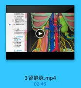 3 N Wrenal pedide
(四)青血管与餐屋
1.青动時粒資限
青动脉 meaal artery
1 mcal segnent
下级动l lawer polar arten
14 2. W#lkrenal veln

#(二)按膜
1. Wal5Mronal fascia
2. 服肪R adipose capsu
3 IFt ill fibrous capaulo
三、输尿管提部
%输尿管 ueler
四,同上服

TU CONG YES

好 青上線 wupraeeal glarsl
# 需上臨上动啡
青上藤中助縣
請上藤下助脉
著 背上線静味
五、腹主动脉

3肾静脉.mp4

02:46