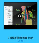 4.2 青時品 rmnal vin
9s(二)被護
1. WE5i renal fasci

wweTL

2.脂型囊adipose ca
3.纤维重frous cap
三、純保管隆甜
四,海上摩
開上縣 -peantal glan
9 青上肆上动味
青上豫中动線
管上線下动縣
無 肾上辣聯味
五,瘦主动脉
塵主动聯 abdoeinal an
(一)不成时的脑克
1 1. mR22Tcolac trun
1 2.話系購上动號sup
1 3.路系塑下动脉i
(二)或时的克
1.青上膜中动綠mig

7肾脂肪囊纤维囊.mp4

01:48