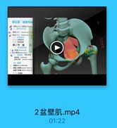 第五章 盆部与会

5

盐郵 pelsis 与金開 perinesm
一,填界与分区
O1 骨址上口 sperior pelvlA
骨世下口 inderiot pelvi
二、表面解剖
(一)体表标志
(二)体表投劃
第二节 盆

部

一、骨站聚体观
1e 界雄 Ierainsl line
4 净小骨盐lraser pelris
二、北壁肌 商孔内縣
梨標腿 pirisormis
馬孔内料 obturafar isterm
三.盘朋
12l pelvie disghrage
盐編上部膜=perier fascia of
盘購下能購 indolke fascia of
(一)紅提机

2盆壁肌.mp4

01:22