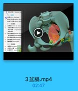 7LM obturtor in
三、盆隔
盐码 pelvie disphesgm
盐腸上部讀 seperior fmsci
盆隔下能膜 inferiur fasel
(一)紅提肌
紅提M levator ani of lens
江提肌脆弓 teniinous ar
尿生捕關 wrogenital di
盐驅製孔
10 D前列肆提Mlerntor pma
址骨調道M puboraginal
11 2北骨直話肌 puberectali
12 3世尾机pubecoccygeun:
13 4館尾Milocoecygrus
(二)尾骨肌
14
尾骨M coccygrun
15
会期中心號 perinoal
紅尾韧带 anococy

3盆膈.mp4
02:47