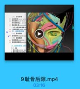 (二)盐脏筋膜
21 盆脏筋膜 visceral pelvic
22 前列牌箱fascial sheath
前列線静味丛 prostati
23 直肠膀読段rectovesical
(女性为直肠阴道隔rec
24
直肠侧韧带 lateral recta
五、盆筋膜间隙
(一)耻骨后隙
6 26 耻骨后期retropubic spad
(二)直肠系膜
27
直肠系膜 mesorectum
1 直肠系膜筋膜 mesorecta
六,盆部的血管、淋巴
(一)动脉
1. i@aa common lliac
2 信外动號 extemal ilec a

9耻骨后隙.mp4

03:16